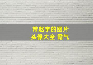 带赵字的图片头像大全 霸气